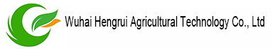 QINGDAO DRAGON SOAR INTERNATIONAL FREIGHT FORWARDER CO.,LTD